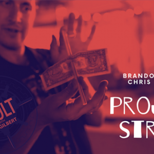 brandon david chris turchi the vault project straw 600x337 2