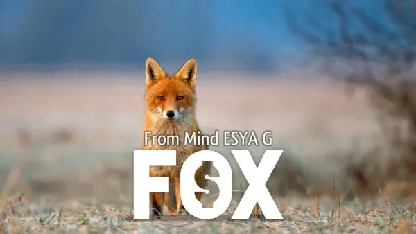 Esya G – Fox Download INSTANTLY ↓ - Image 2
