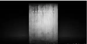 Anthology 2000-2010 by Daniel Madison