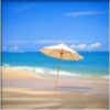 Words in the Sand by Ron Chavis