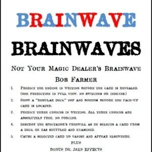 Bammo Brainwave Brainwaves by Bob Farmer ( Instant Download )