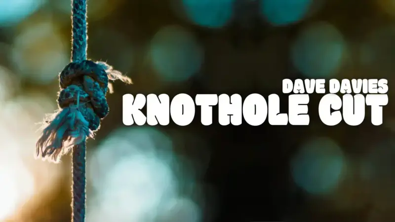 Dave Davies -Knothole Cut ( Instant Download )